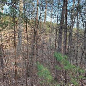 20210127195345458675000000-o