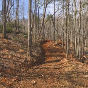 DJI_20260225111058_0354_D