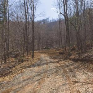 DJI_20260225111122_0355_D