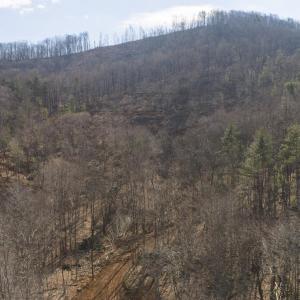 DJI_20260225112601_0356_D