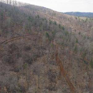 DJI_20260225112816_0361_D