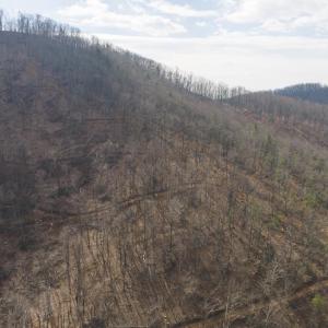 DJI_20260225112936_0362_D