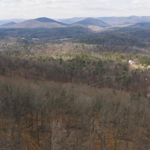 DJI_20260225113033_0364_D