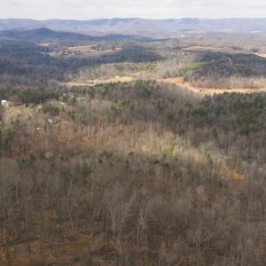 DJI_20260225113039_0366_D