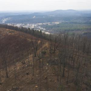 DJI_20260225113125_0367_D