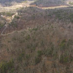 DJI_20260225113219_0369_D