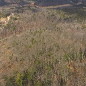 DJI_20260225113300_0372_D