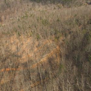 DJI_20260225113317_0373_D