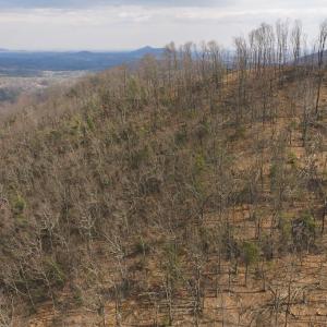 DJI_20260225113330_0374_D