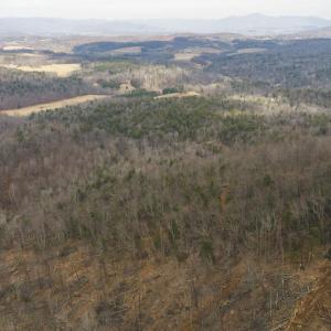 DJI_20260225113401_0376_D