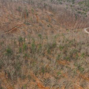 DJI_20260225113427_0377_D