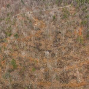 DJI_20260225113436_0378_D