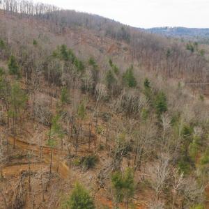 DJI_20260225113534_0380_D