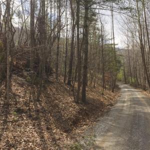 DJI_20260225113809_0383_D