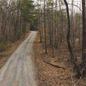 DJI_20260225113918_0385_D