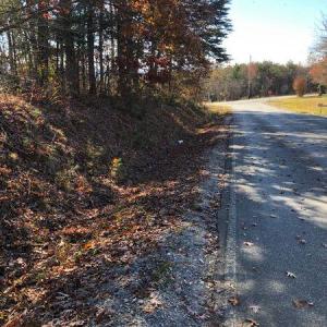 Chestnut Hill Road