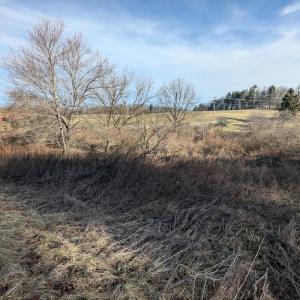 PXL_20260306_134549788