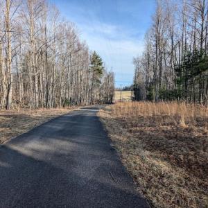 PXL_20260306_134717061