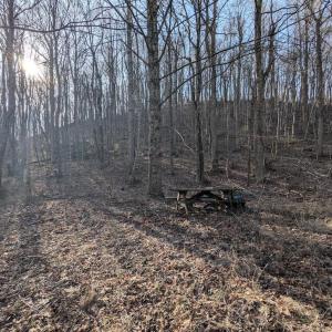 PXL_20260306_135006276