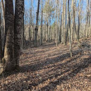 PXL_20260306_135131749