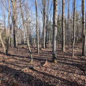 PXL_20260306_135225859