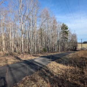 PXL_20260306_135307243