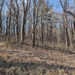 PXL_20260306_135459842