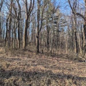 PXL_20260306_135501325