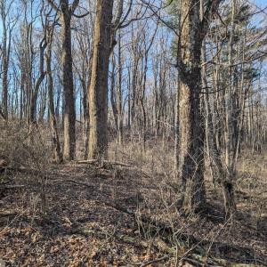 PXL_20260306_135518091