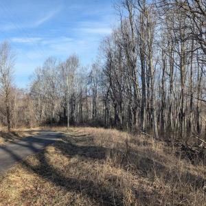 PXL_20260306_135611899