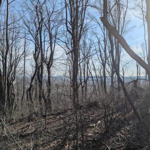 PXL_20260306_135624485