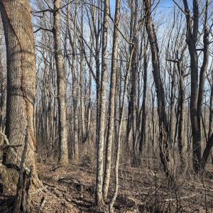 PXL_20260306_135632637