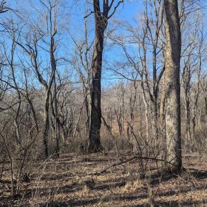 PXL_20260306_140012733