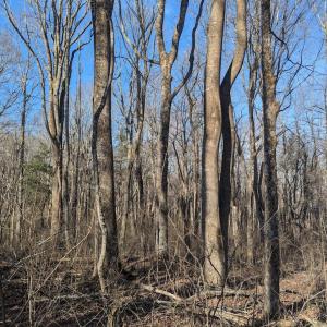 PXL_20260306_140058575