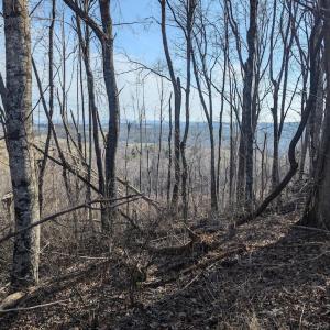 PXL_20260306_141449767