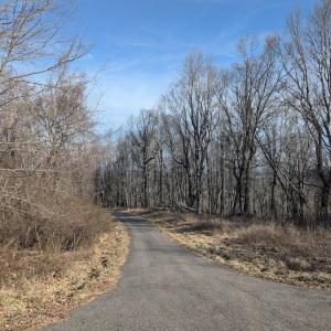 PXL_20260306_141547966