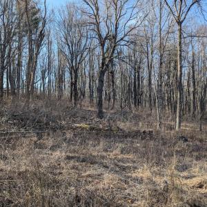 PXL_20260306_141904587