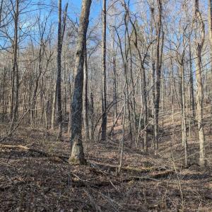 PXL_20260306_142104307