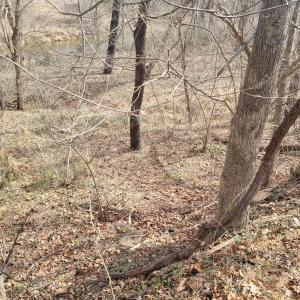 Photo1