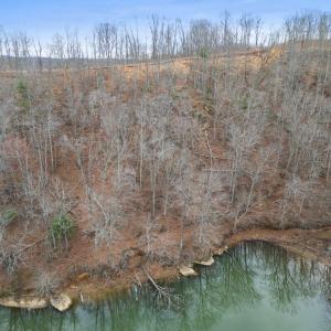 View of Lot + Community Walking Path
