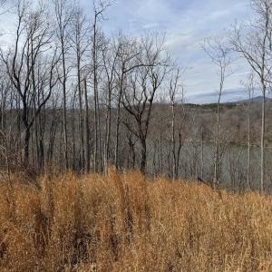 Ground View of Mountains