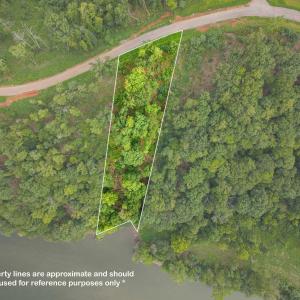 Aerial Summer View 2