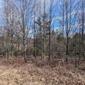PXL_20260220_172842549