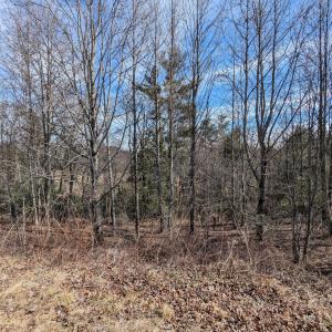 PXL_20260220_172842549