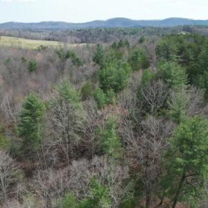 Wooded Acreage