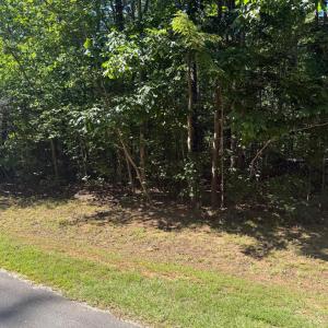 Photo #2 of 6715 WATER VIEW LN, MINERAL, VA 2.0 acres