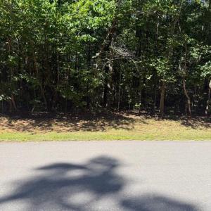 Photo #3 of 6715 WATER VIEW LN, MINERAL, VA 2.0 acres