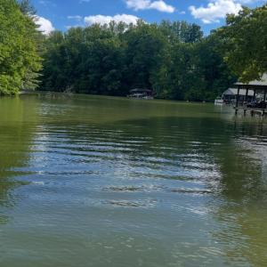 bridgewater pic 6 tracy