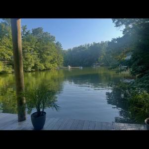 bridgewater pic 8 tracy