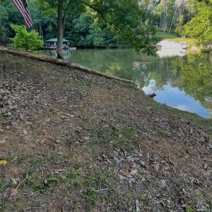 bridgewater pic 2 tracy